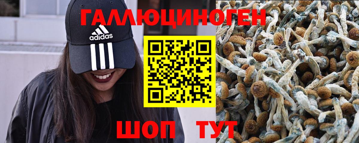 купить наркоту  Вход с VPN  Саратов  Псилоцибиновые грибы MAGIC MUSHROOMS 